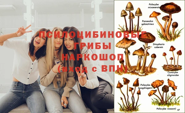 мет Вязьма