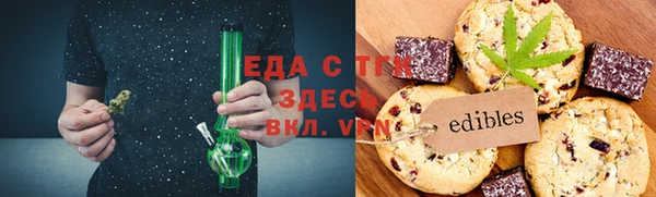 гашик Тайга